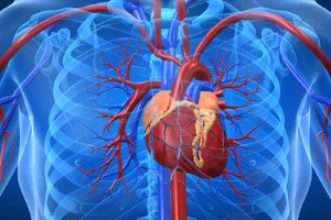 myphysiotherapy kardiologikes pathiseis